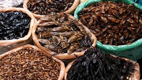 Manger des insectes au marché de Skoun au Cambodge