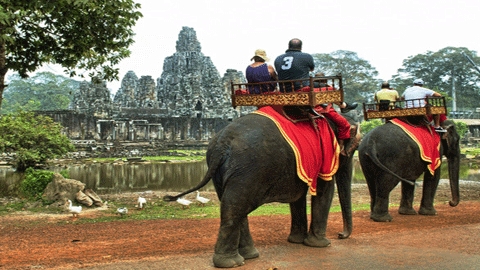 Cambodge interdit la balade à dos d'éléphant à Angkor