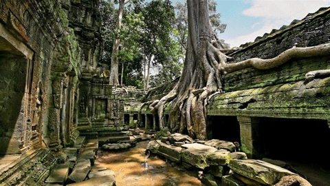 Ta Prohm - Le temple le plus mystérieux au Cambodge