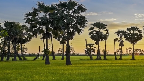 Voyage Cambodge pendant la mousson