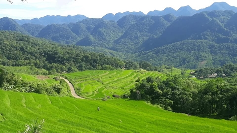 Circuit Cambodge et Vietnam: que choisir? 