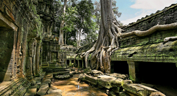 Voyage tout compris Cambodge